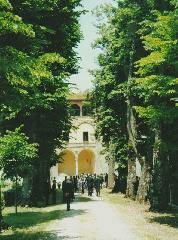 Il viale di tigli del parco del Castello di Grotti - Agriturismo in Toscana, a 12 km da Siena
