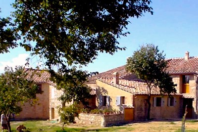 Il podere Certino e la terrazza dell'appartamento Palio - Agriturismo a Grotti in Toscana, 12 km da Siena
