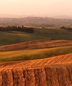Siena al tramonto vista dalle colline di Grotti - Clik per vedere la mappa dell'area di Siena